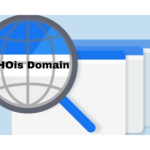 Kiểm tra xem thông tin về tên miền, domain website - Who is Domain Hosting View