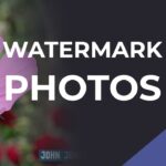 Đóng dấu bản quyền ảnh hàng loạt với Watermark Software